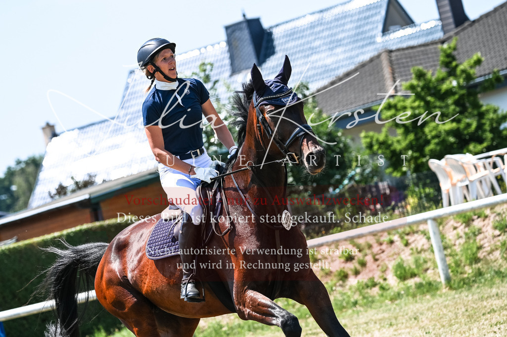 DSC_0093 | Pferde- und Turnierfotografie in Westsachsen. Pferdeportraits, Auftragszeichnungen und intuitive Kunst.
