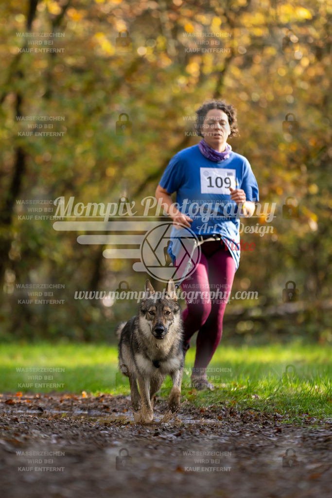 MompixPhotography_Bischwiller23_Canicross-83 | PayLife