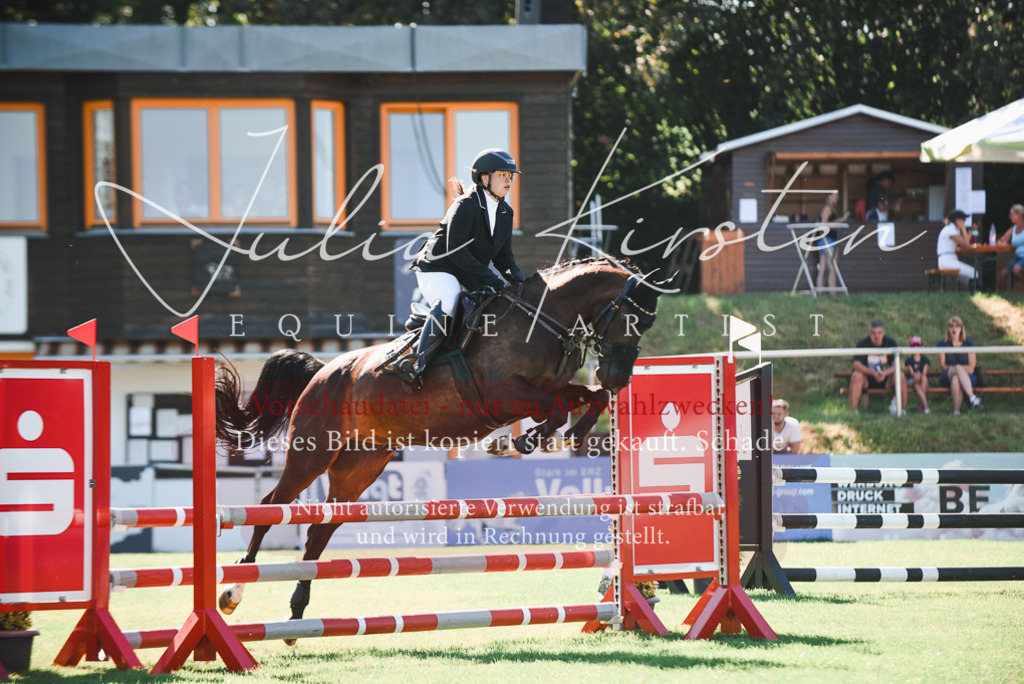 DSC_2521 | Pferde- und Turnierfotografie in Westsachsen. Pferdeportraits, Auftragszeichnungen und intuitive Kunst.
