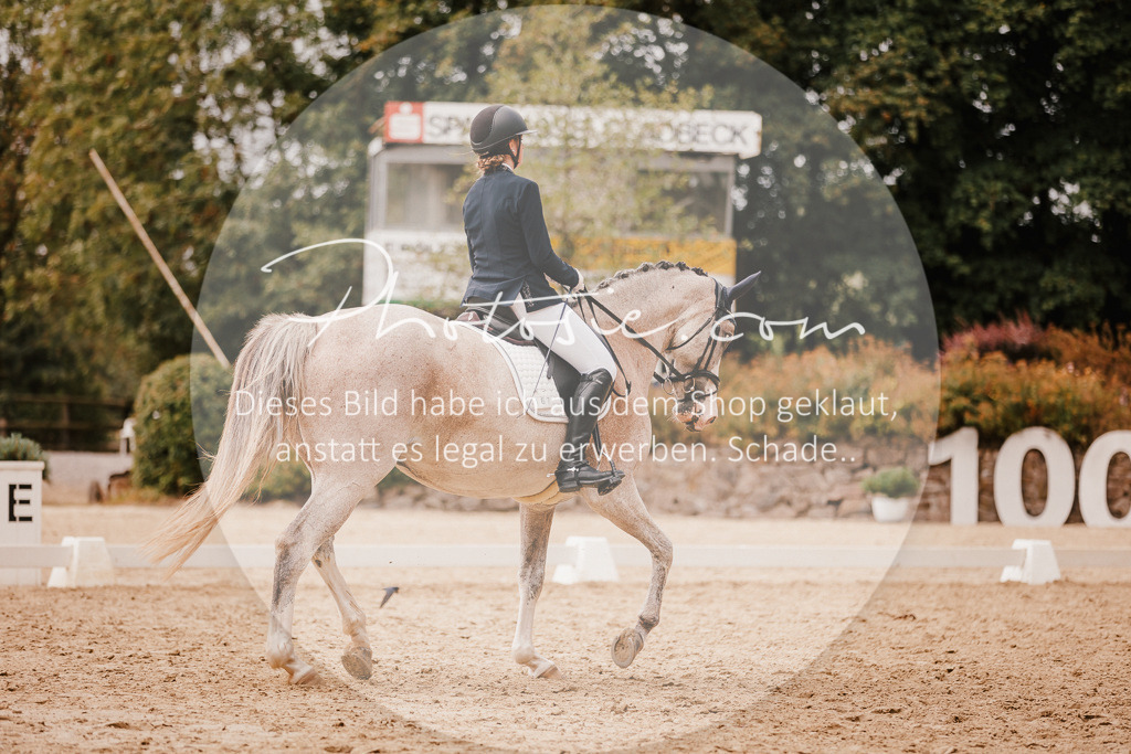 3I6A6182 | Stimmungsvolle Portraits und Reitsportfotografie im Ruhrgebiet und im Münsterland.

Pferdefotografie, Hundefotografie, Tierfotografie, Reportagen, Portraits von Tier und Mensch, Turnierfotografie in Bochum, Recklinghausen, Marl, Haltern am See, Dülmen.. - Realisiert mit Pictrs.com