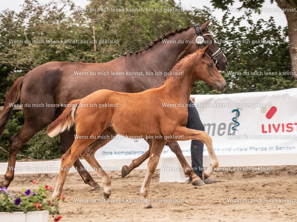 A10I6865 | photographylinaismer - Realisiert mit Pictrs.com