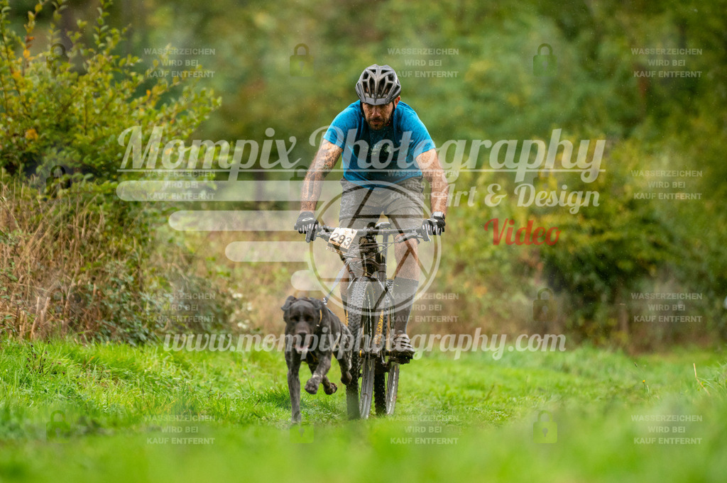 TSB_2023_E6_Bike-20 | PayLife