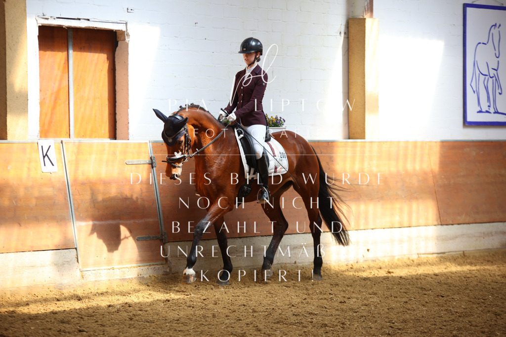 IMGT4671 | pl-fotografie