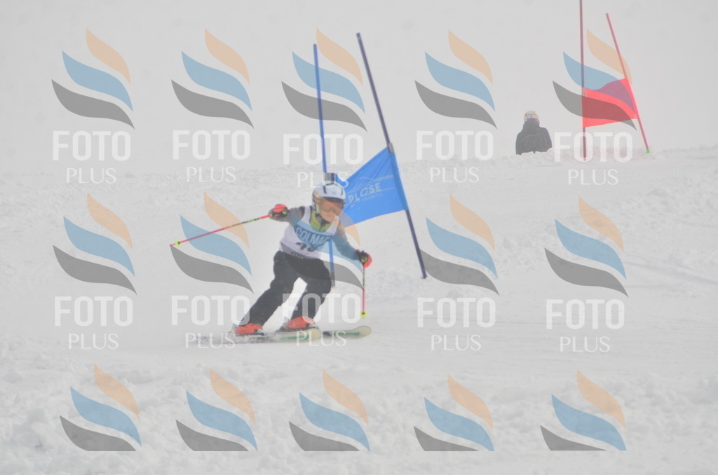 A5361 | holidayphoto