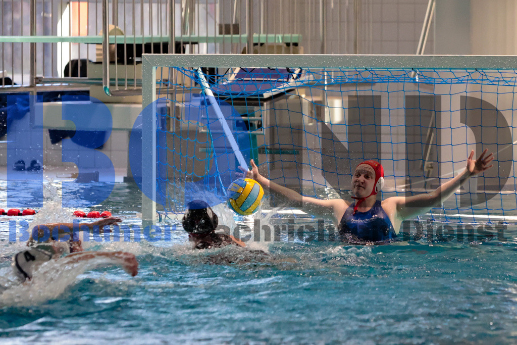 SES_BOCSPA20250209-10 | bond - Realisiert mit Pictrs.com