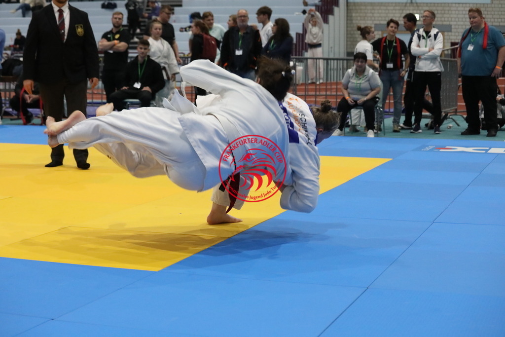 1J7A2579 | Fotos vom Adler Cup - Pictures from Adler Cup

Hier findet Ihr alle Eindrücke und großen Momente der Adler Cup Wochenenden. Here you will find all impressions and great moments of the Adler Cup weekends. - Realisiert mit Pictrs.com