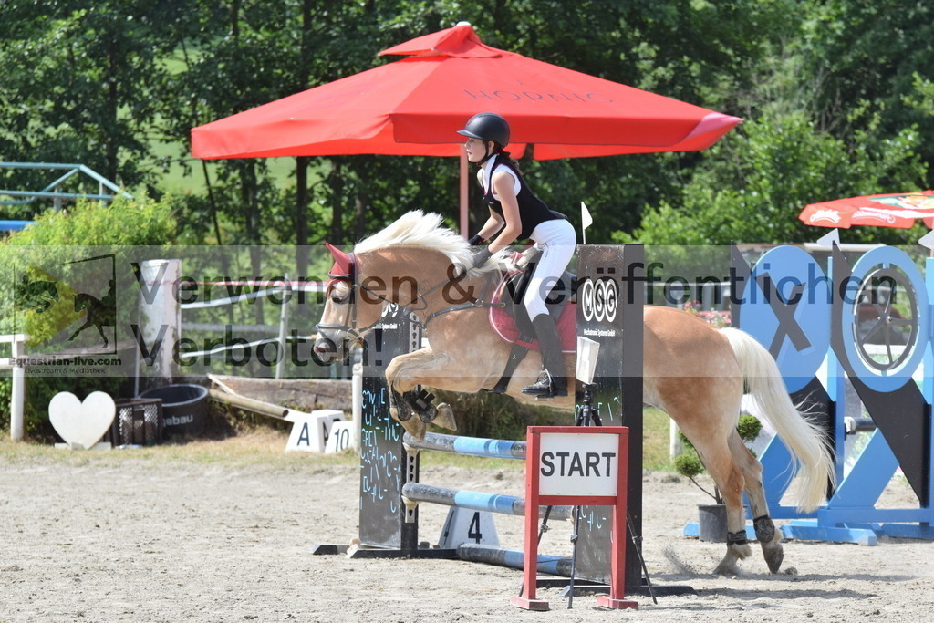 DSC_0008 | equestrian-live-com