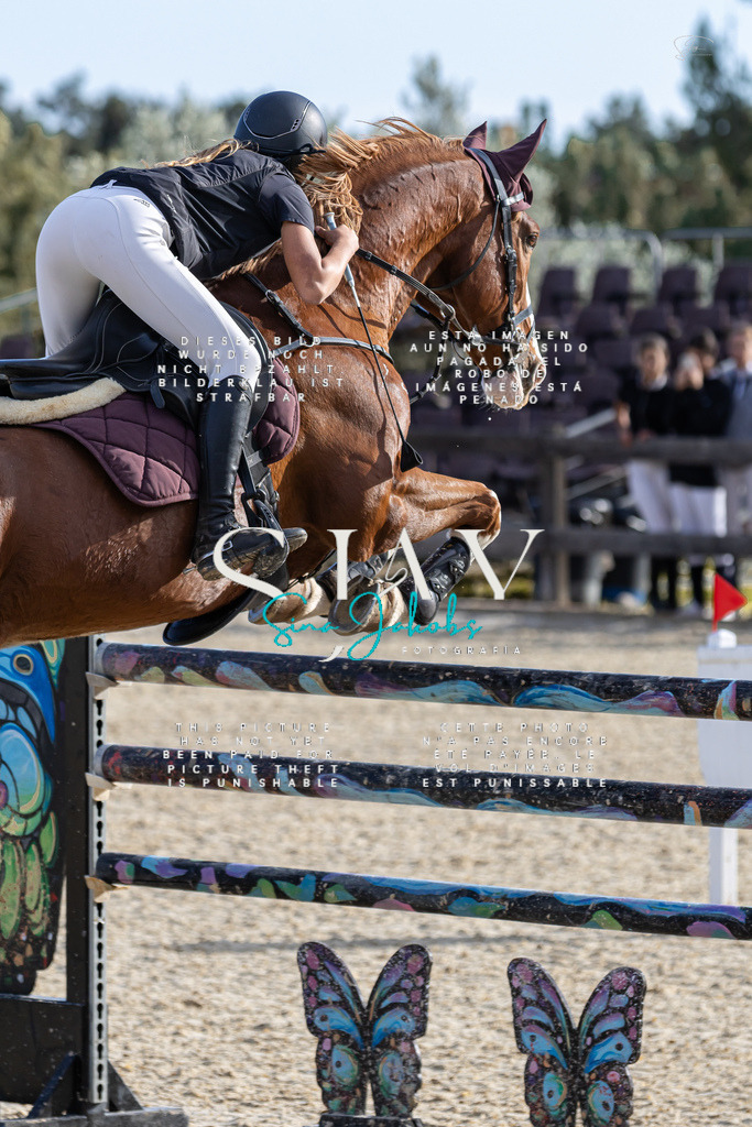 IMG_0201 | s-jay-photography - Realisiert mit Pictrs.com