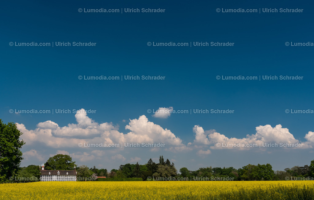 10049-5615 - Wörlitzer Park _ Sachsen Anhalt | Stockfoto und Bilderpool mit Bildmaterial aus Deutschland, dem Harz, Halberstadt, Quedlinburg, Wernigerode und weltweit. Qualitativ hochwertige und professionelle Fotos anschauen und kaufen. - Realisiert mit Pictrs.com