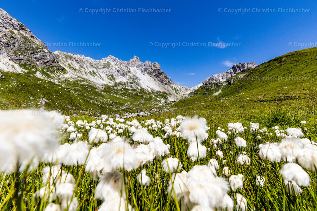 Fotos_Copyright_Chri_Fischbacher_Druck-229 | Bildershop Chri Fischbacher - Realisiert mit Pictrs.com