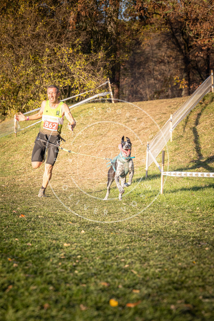 CaniXpix_0L8A0955 | Hundefotografie, Tierfotograf, Pfotenfotografie, Fotoshooting Hund, Hunde Portrait, Hundesport, Hundeportraits, Heideshooting, Hunde, Sportfotograf, Hundefotograf, Turnierhundsport, THS,  - Realisiert mit Pictrs.com