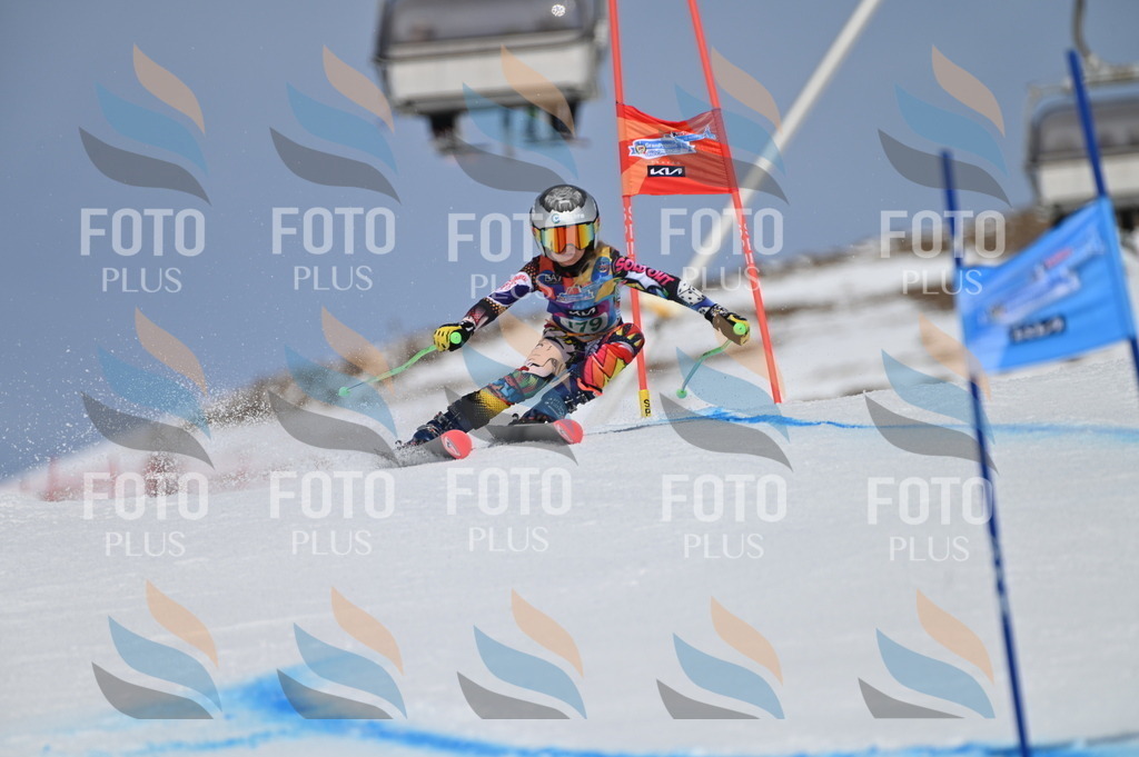 BGV_3514 | holidayphoto