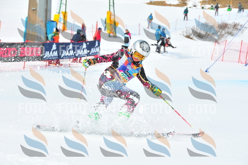 DSC_2523 | holidayphoto