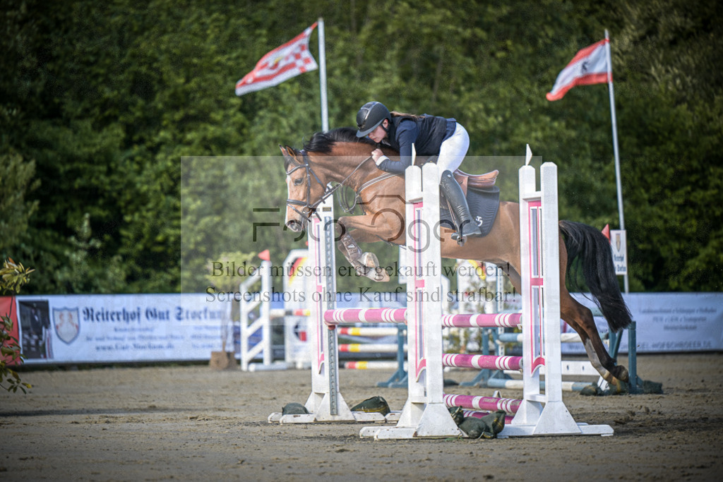 DOS_7381 | Entdecke hochwertige Reitturnierfotos von Foto Oger. Professionell, emotional und authentisch – jetzt Lieblingsmomente im Shop bestellen.Deutschlandweite Turnierfotografie. - Realisiert mit Pictrs.com