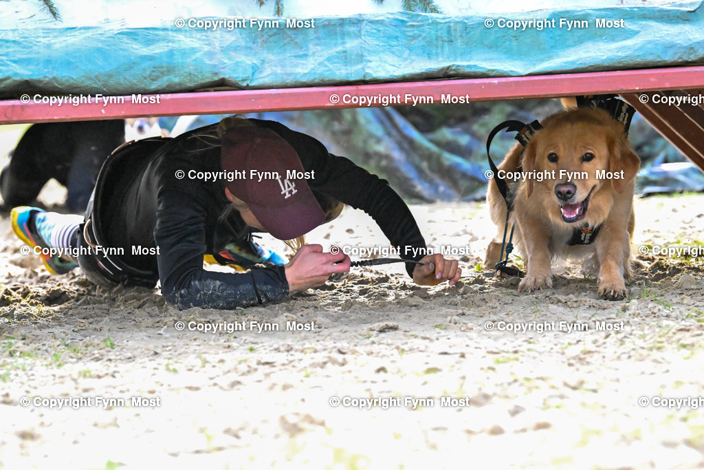 DSC_3660 | Hallo und herzlich Willkommen auf meiner Shop-Seite Fynn Most.

Ich wünsche Dir viel Spaß beim stöbern durch die Bilder, wenn Du Fragen hast oder Bilder vermisst, kannst du mir gerne eine Nachricht schreiben. - Realisiert mit Pictrs.com