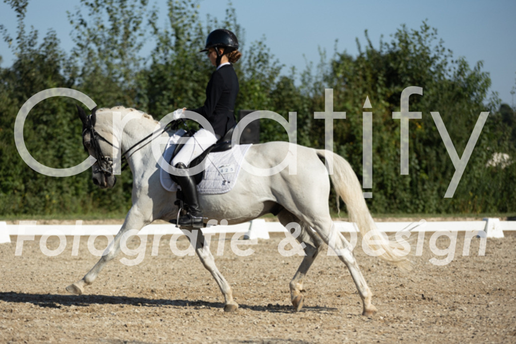 IMG_0741 | Creatify Fotografie