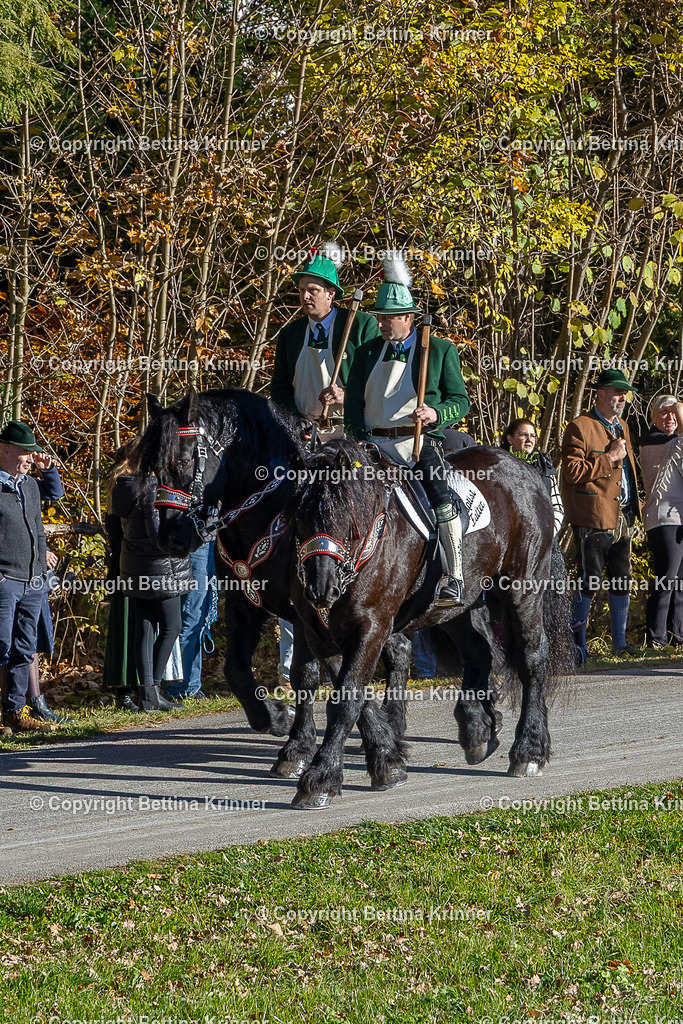 LBT25-348 | foto-bettina-krinner - Realisiert mit Pictrs.com