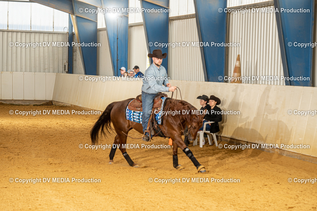 MIT01110 | dv-media-shop - Realisiert mit Pictrs.com