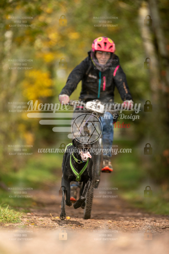 TSB_2023_E4_Bike-61 | PayLife