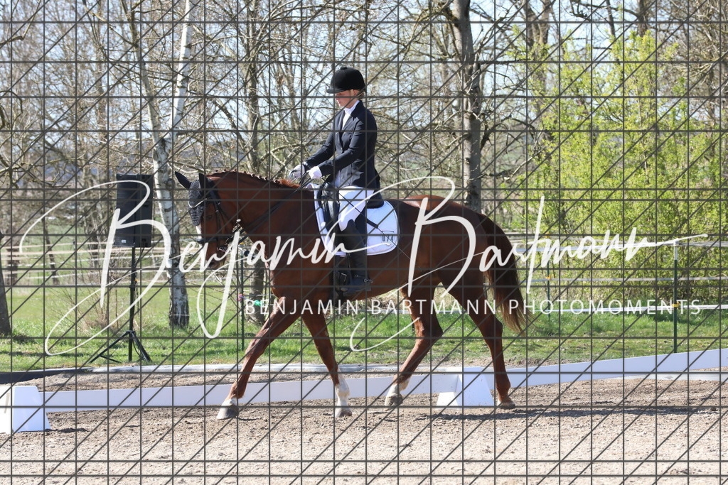 AZ2A4655 | Benjamin Bartmann Photomoments