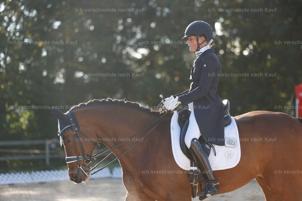 09_1-082-DRESSUR  S_  -StoibPH-5458 | working equitationturnier fotograf videograf stoibphotography marixx film working equitation deutschland reitsport turnierfotografie eventfotografie equestrian events