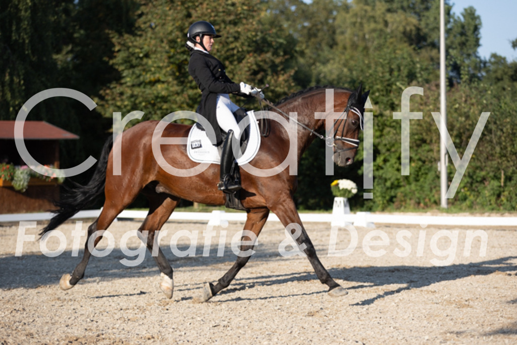 IMG_1261 | Creatify Fotografie