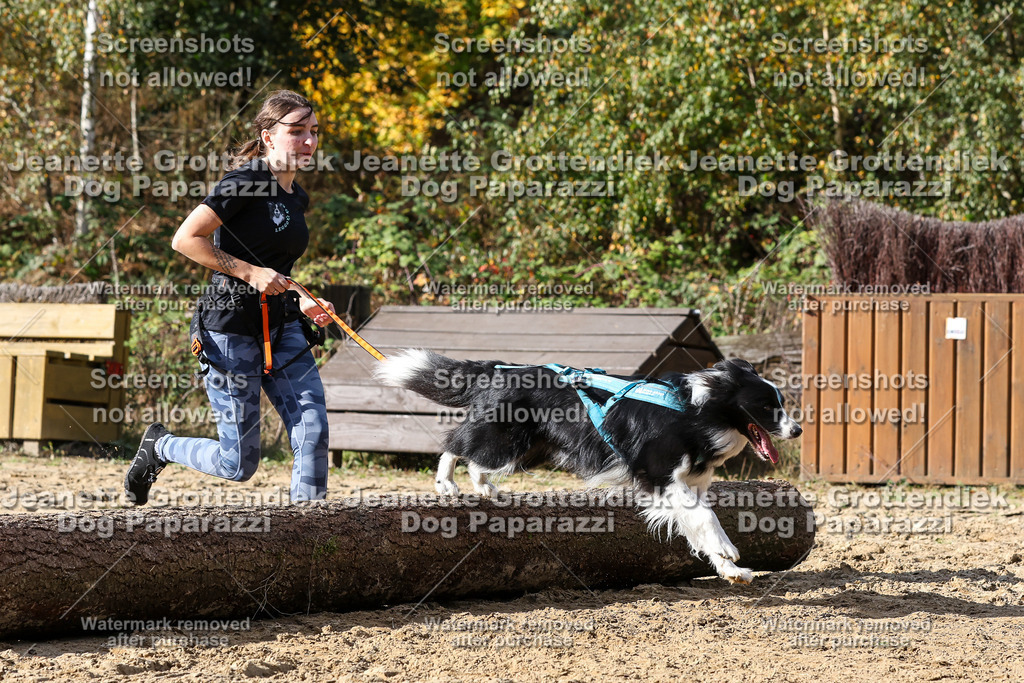 Dog Paparazzi - Strongdog 10-25-4967 | Dog Paparazzi Jeanette Grottendiek Fotografie & Videografie - Realisiert mit Pictrs.com