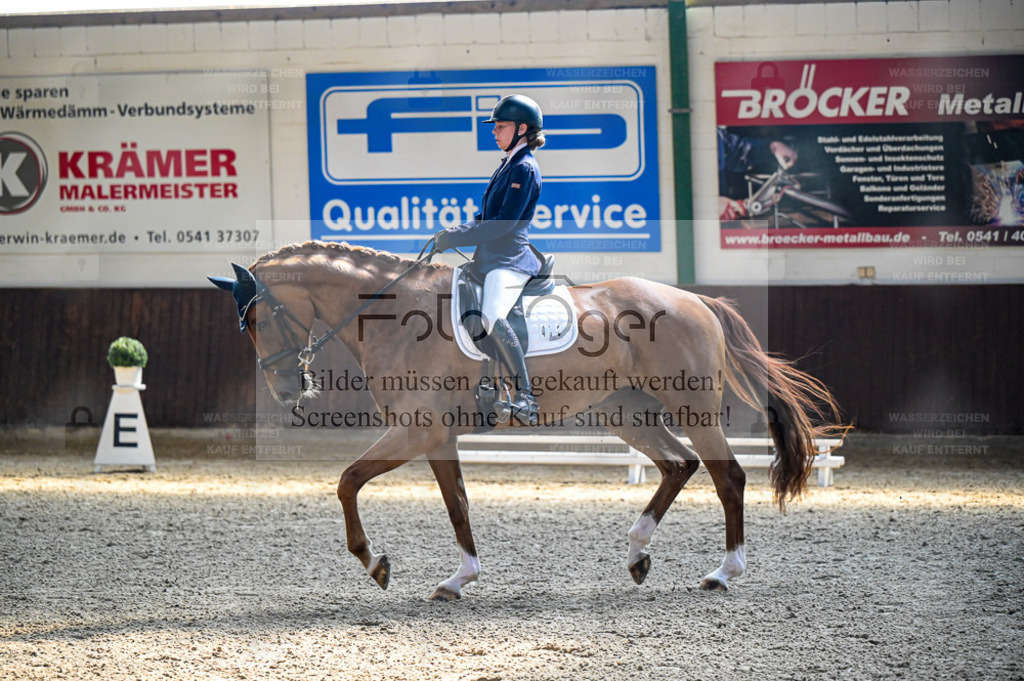 Reitturnier Voxtrup | Entdecke hochwertige Reitturnierfotos von Foto Oger. Professionell, emotional und authentisch – jetzt Lieblingsmomente im Shop bestellen. - Realisiert mit Pictrs.com