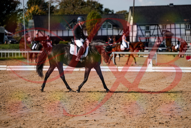2026_10_03_Siefer-Hof_121704_Z63_40666322 | Professionelle Reitsport-, Turnier- und Eventfotografie von Robert Broda. Galerien mit ausgewählten und bearbeiteten Bildern direkt online ansehen und bestellen.