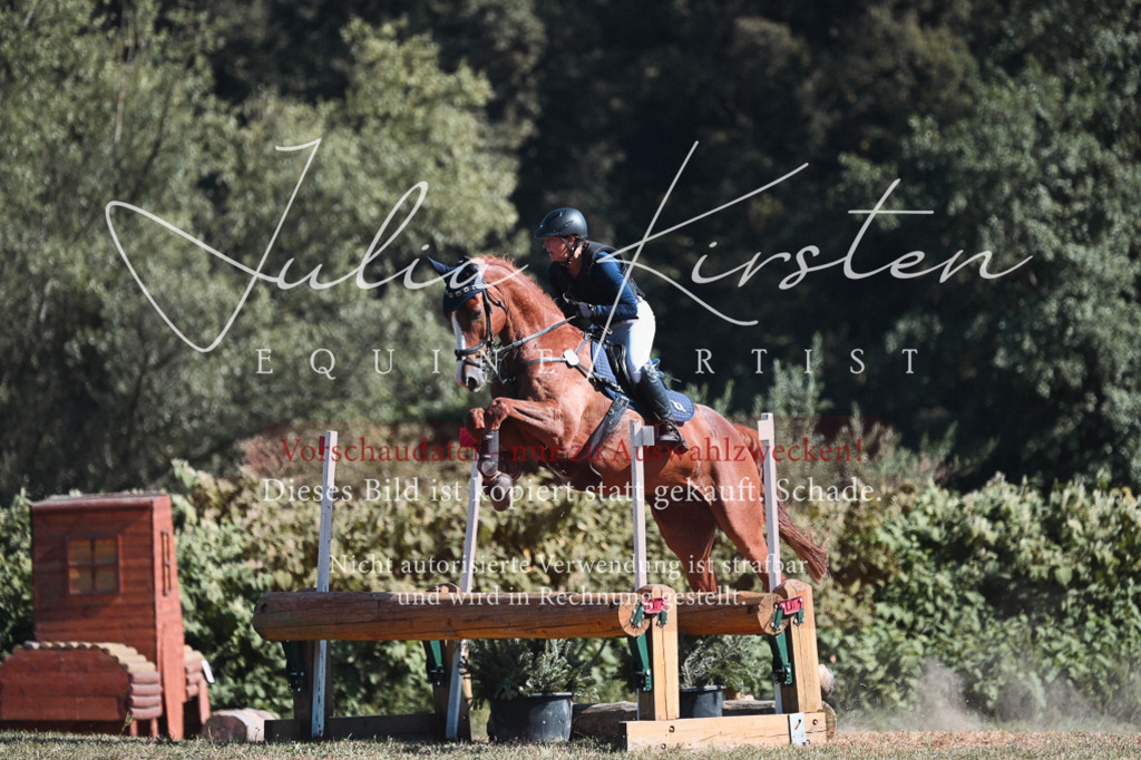 DSC_8613 | Pferde- und Turnierfotografie in Westsachsen. Pferdeportraits, Auftragszeichnungen und intuitive Kunst.