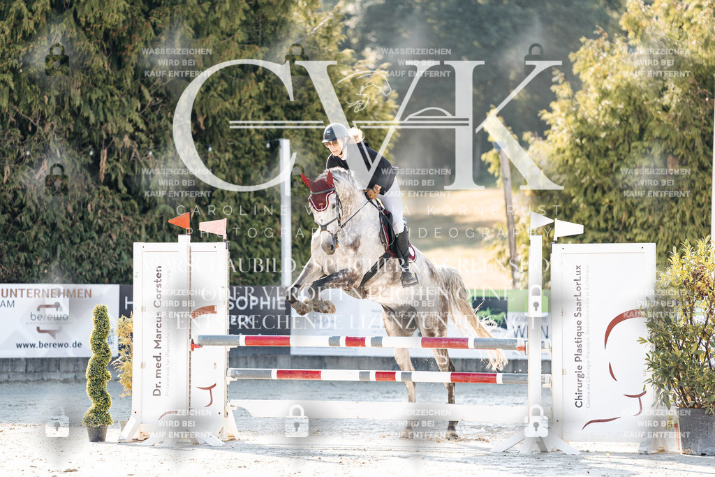 CK907473 | Turnierfotografie Pferdefotografie Trier Rheinland-Pfalz Pferdesport Reitsport Tierfotografie Sportfotografie Pferdevideo Pferdevideografie Equestrianvideography equestrianphotography  - Realisiert mit Pictrs.com