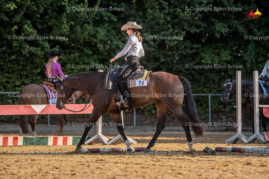 LMS04785 | BS-foto