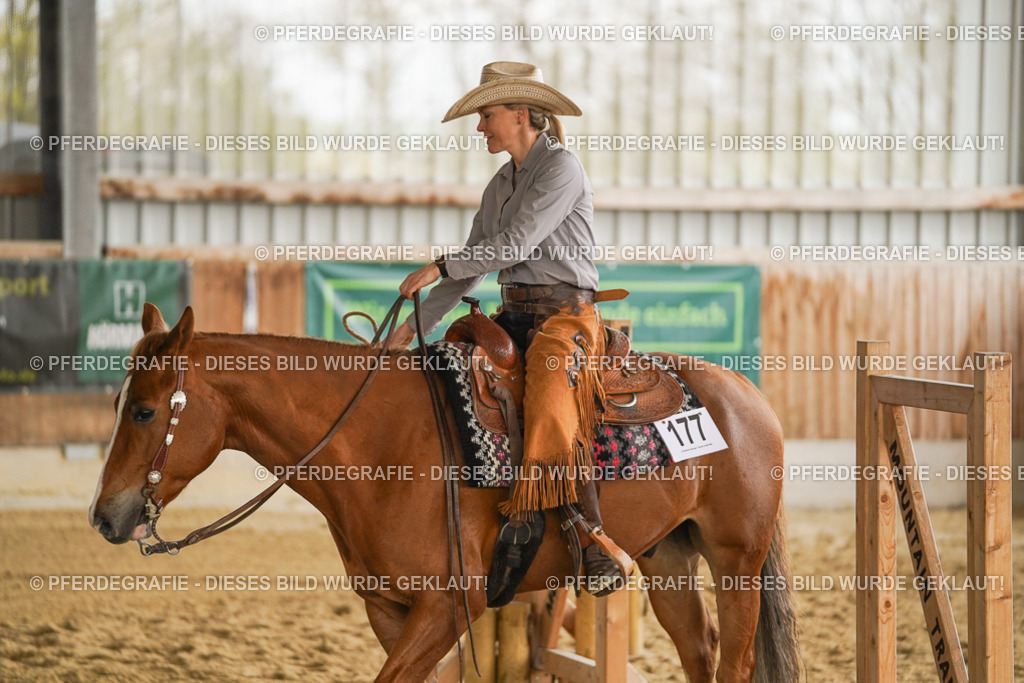 DSC04530 | Pferdegrafie