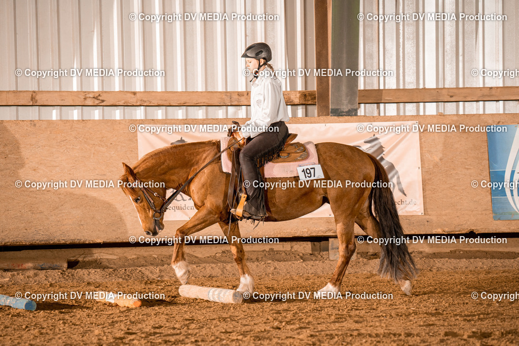 BAL03085 | dv-media-shop - Realisiert mit Pictrs.com