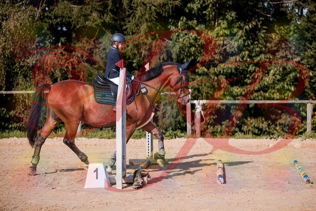2026_10_03_Siefer-Hof_143733_Z81_06222699 | Professionelle Reitsport-, Turnier- und Eventfotografie von Robert Broda. Galerien mit ausgewählten und bearbeiteten Bildern direkt online ansehen und bestellen.