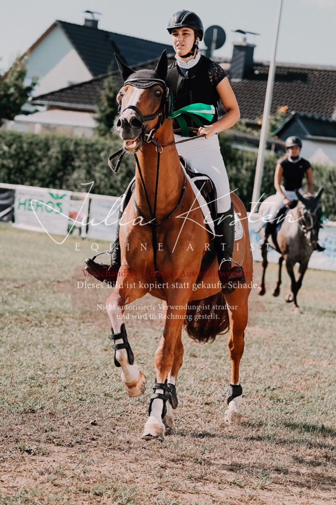 DSC_4952 | Pferde- und Turnierfotografie in Westsachsen. Pferdeportraits, Auftragszeichnungen und intuitive Kunst.