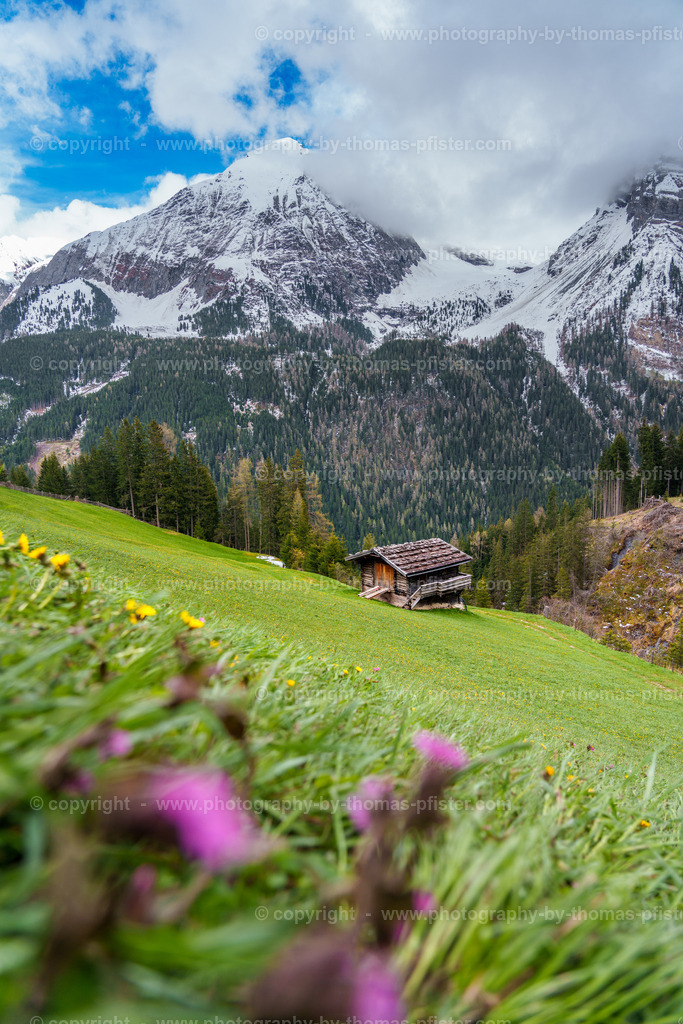 Aigen Aste Madseit copyright  Thomas Pfister-1 | PHOTOGRAPHY BY THOMAS PFISTER