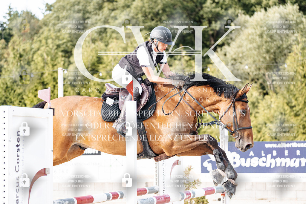 CK906850 | Turnierfotografie Pferdefotografie Trier Rheinland-Pfalz Pferdesport Reitsport Tierfotografie Sportfotografie Pferdevideo Pferdevideografie Equestrianvideography equestrianphotography  - Realisiert mit Pictrs.com