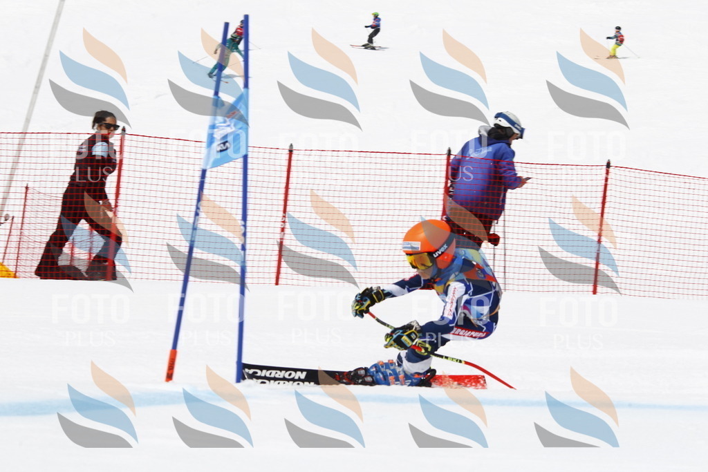 _U3G6846 | holidayphoto