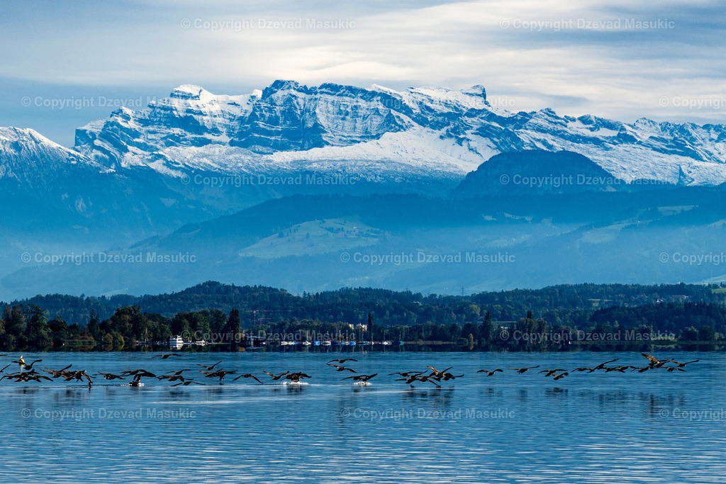 Greifensee | Ich fotografiere Landschaften, Produkte und erstelle für Sie Firmenportraits. Engagieren Sie mich für den nächsten Projekt. - Realisiert mit Pictrs.com