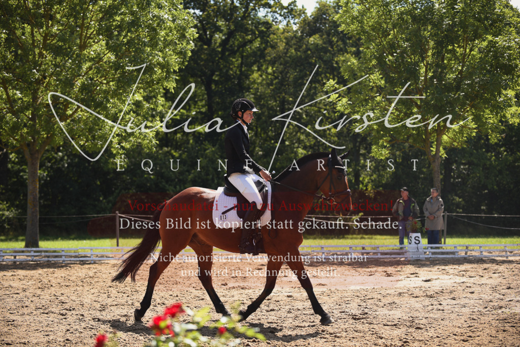 DSC_0499 | Pferde- und Turnierfotografie in Westsachsen. Pferdeportraits, Auftragszeichnungen und intuitive Kunst.