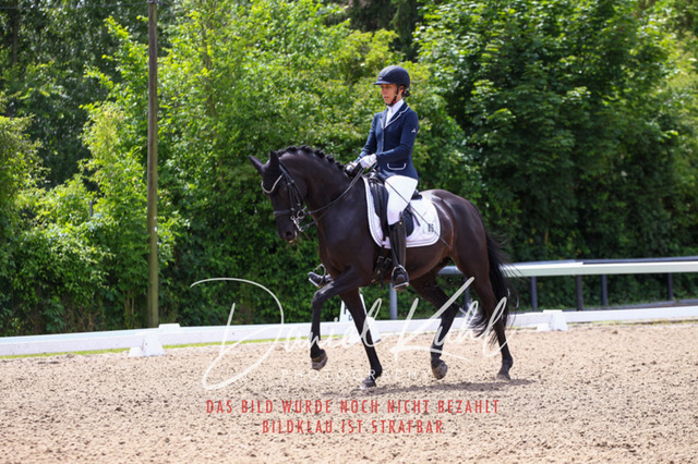 DKP41048 | Turnierfotos kaufen im Webshop von Daniel Kuhl Photography – entdecke professionelle Reitsportfotos aus Turnieren & Events. Hochwertige Turnierbilder online bestellen & sichern. Jetzt Fotos von Reitsportturnieren kaufen!
