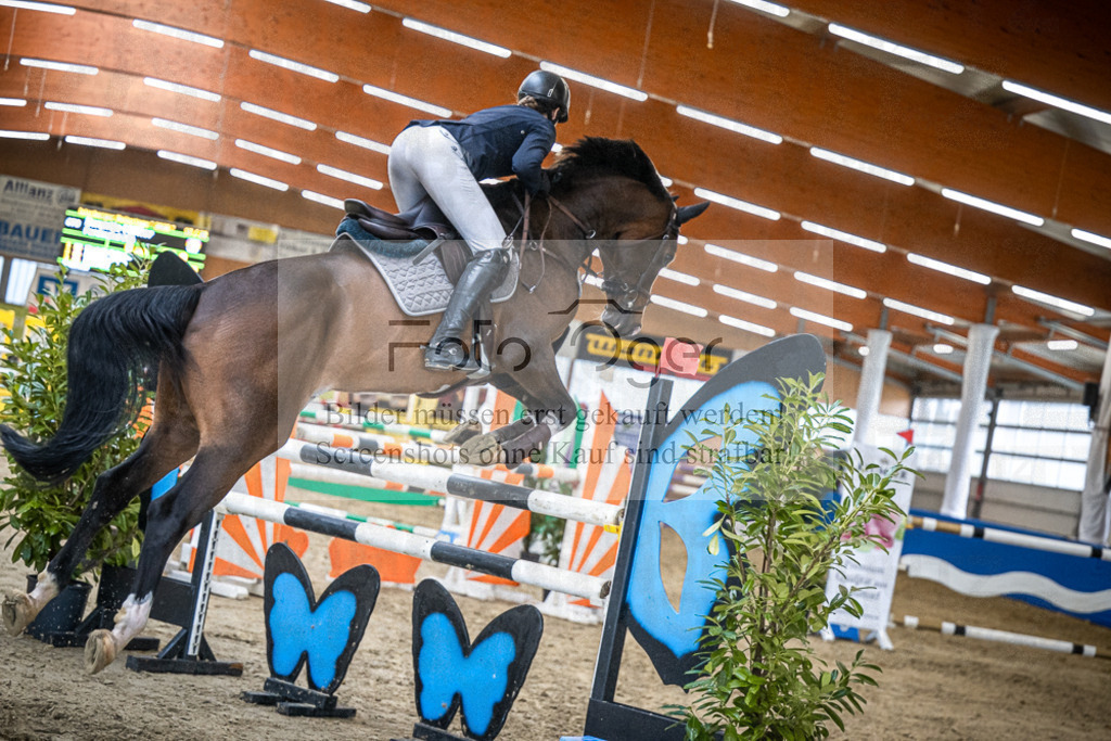 DOS_1087 | Entdecke hochwertige Reitturnierfotos von Foto Oger. Professionell, emotional und authentisch – jetzt Lieblingsmomente im Shop bestellen.Deutschlandweite Turnierfotografie. - Realisiert mit Pictrs.com