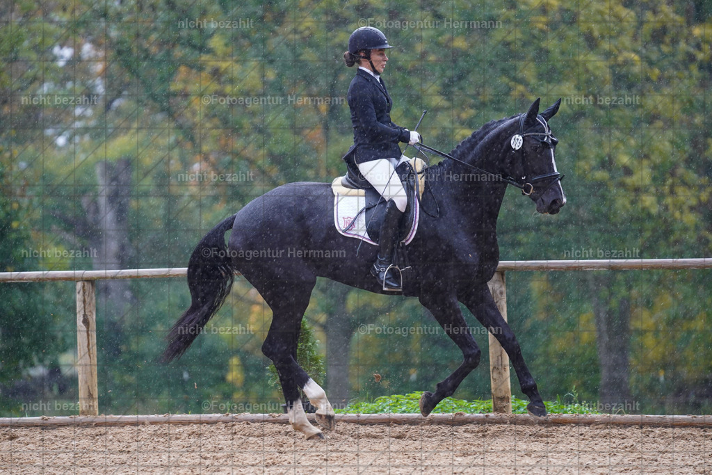 20221008-FAH02065 | Diessen am Ammersee, 2022, Dressur- und Springturnier, Reitsportbilder, Turnierfotografen Bayern, Pferdefotografen, Fotoagentur Herrmann, Turnierbilder