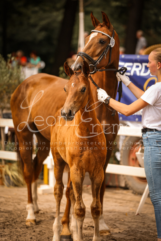 SaPA00198 | Leoni Ertmer Photography - Realisiert mit Pictrs.com