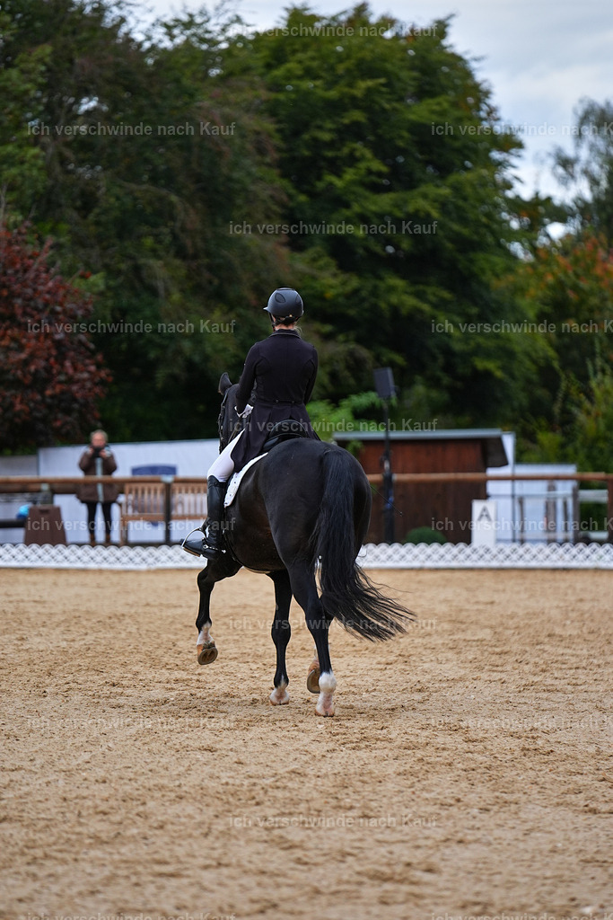 8_1-118-Klasse S_  -Marixx-4224 | working equitationturnier fotograf videograf stoibphotography marixx film working equitation deutschland reitsport turnierfotografie eventfotografie equestrian events