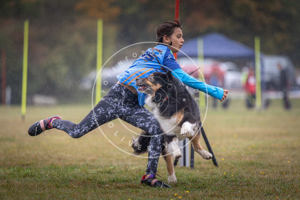 Pfotenfotografie_DV3A0023 | Hundefotografie, Tierfotograf, Pfotenfotografie, Fotoshooting Hund, Hunde Portrait, Hundesport, Hundeportraits, Heideshooting, Hunde, Sportfotograf, Hundefotograf, Turnierhundsport, THS,  - Realisiert mit Pictrs.com