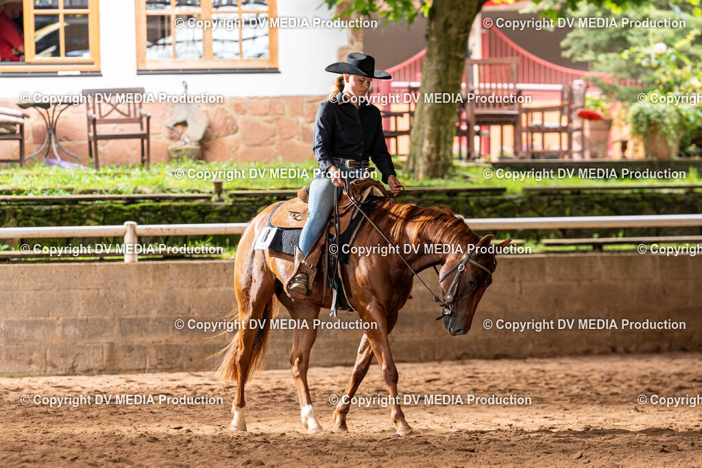 Erbach Tag 1-331 | dv-media-shop - Realisiert mit Pictrs.com