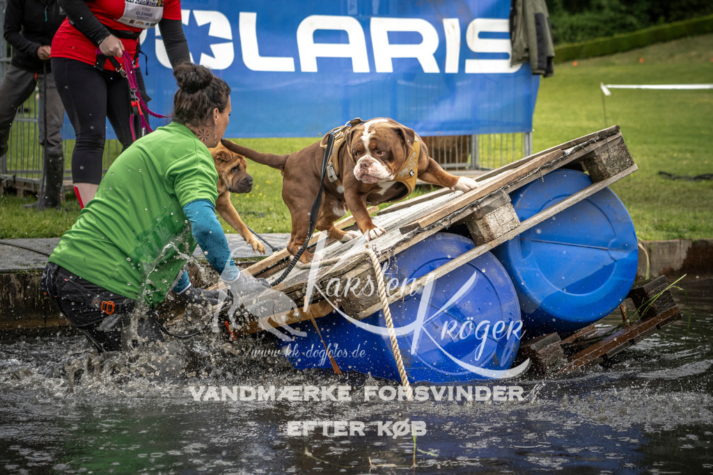 1003_ZZ93877 | kk-dogfotos