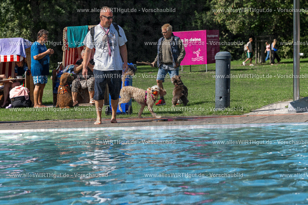 Hundeschwimmen_Volksbad_2026-allesWIRTHgut_Tierfotografie-2609061233-FAY06481 | Professionelle Tierfotografie in Mönchengladbach von Daniel Wirth (allesWIRTHgut). Liebevolle & natürliche Bilder von Hunden & Katzen für unvergessliche Erinnerungen.